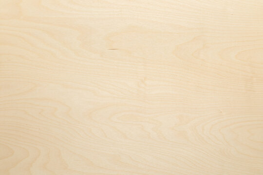 texture of wood. High key birch wood plank natural texture, plank texture background, plank tabletop background.
