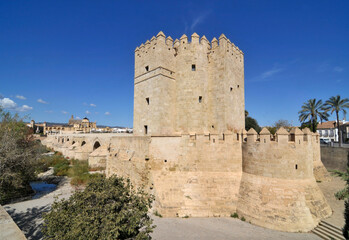 Fototapeta na wymiar Calahorra Tower in Cordoba, Spain