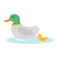 Cute Duck Mother and Child