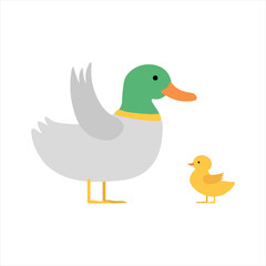 Cute Duck Mother and Child
