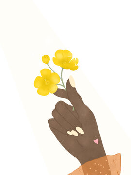 nature appreciation dark skin tone hand holding buttercup flowers on transparent background