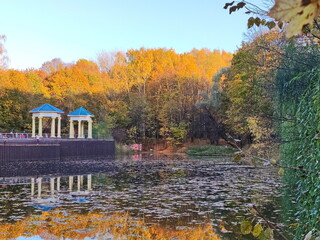 Obraz premium Golden autumn in the summer park