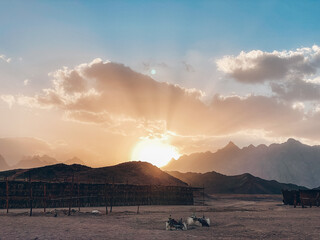 sunset in the mountains