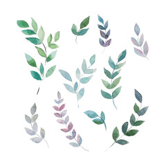 Vector watercolor illustrations. Botanical clipart. Set of Green leaves and branches. Floral Design elements. Perfect for wedding invitations, greeting cards, blogs, posters.