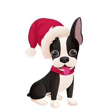 Cute Boston terrier sweet puppy with Christmas hat sitting in cartoon style isolated on white background. Cute dog, print design
