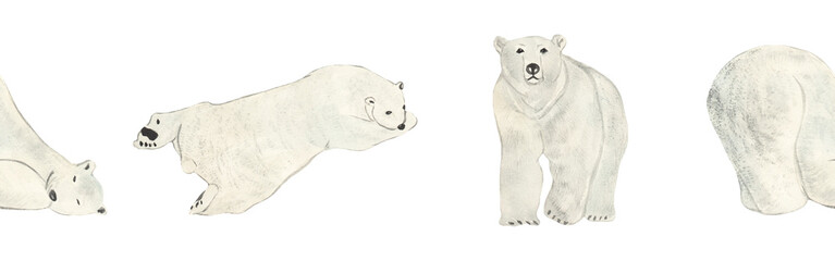 Polar bear border. Watercolor border isolated on white background. Cute wild bear border. Picture. Image