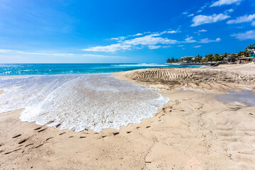 Dentelle de mer sur plage des Roches Noires, Saint-Gilles, île de la Réunion 