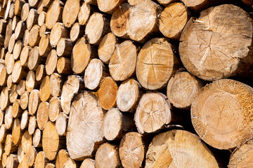 Stacked logs. Timber. Raw material.