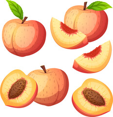 peach fruit set cartoon vector. juicy orange, green leaf, slice nectarine, summer apricot peach fruit. isolated color illustration