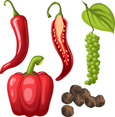 pepper black chili set cartoon vector spicy hot food, paprica spice, cayenne, mexican chili color illustration