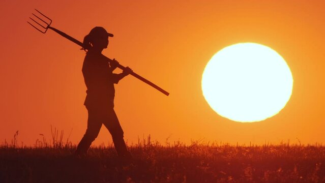 Silhouette of man farmer or gardener with pitchfork walks across field on background of orange sunset sky with big sun, side view.