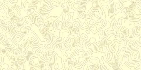 Abstract topographic map background geographic line map with elevation assignments.3d Topographic map and landscape terrain texture grid. Topo contour map. Rendering abstract illustration.