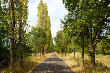 Rural landscape along the cycleway of Chiese river