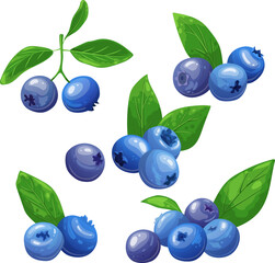 blueberry fresh set cartoon. berry blue, bilberry fruit, ripe food, sweet organic, juicy healthy, leaf delicious, raw blueberry fresh vector illustration