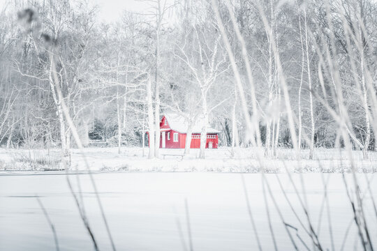 White Winter Snow Lanscape Background