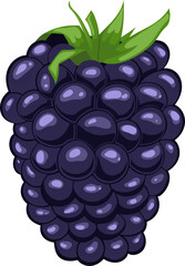 blackberry berry leaf cartoon. black raspberry, fresh wild, food plant, nature forest, organic dessert natural blackberry berry leaf vector illustration