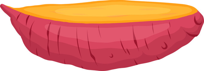 sweet potato cut cartoon. food root, raw orange, vegetable red, organic healthy, slice yellow, crop sweet potato cut vector illustration