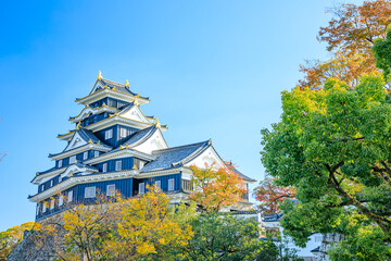 秋の岡山城　岡山県岡山市　Okayama Castle in autumn. Okayama prefecture, Okayama City.