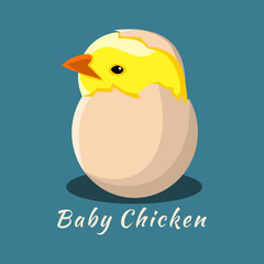 Vector illustration of cute chicken in eggshell. Funny young chicken vector