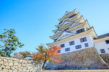 秋の福山城　広島県福山市　Fukuyama Castle in autumn. Hiroshima prefecture, Fukuyama...