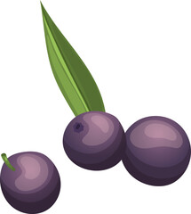 acai berry cartoon. fruit food, brazil tropical, organic brazilian, view top, leaf, agriculture, healthy acai berry vector illustration