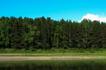 Obraz premium lake in the forest