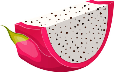 dragon fruit slice cartoon. pitaya, exotic, summer food, nature pink, vitamin vegetarian, tropical dragon fruit slice vector illustration