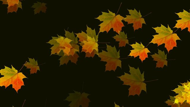 Artistic creative video computer render plant background falling yellow flying leaves
