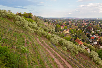 Weingut und Schloss Wackerbath in Radebeul bei Dresden, Deutschland