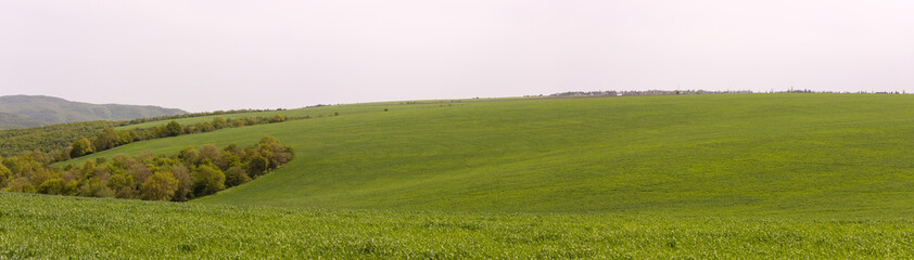 Green field with trees. Ismayilli region. Azerbaijan.