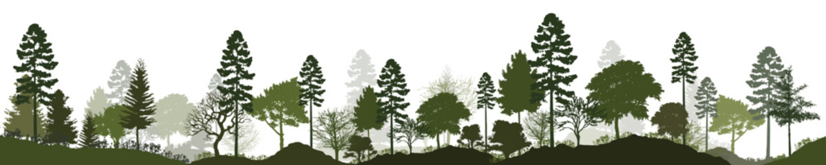 Obraz premium Forest silhouette trees. Vector illustration of every tree isolated. Evergreen forest side view green shadow, for seamless border, architecture and landscape design drawing. 