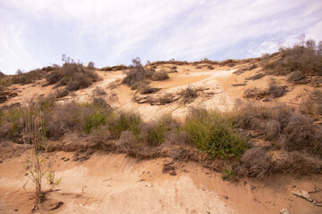 Wild coast of the Caspian Sea.