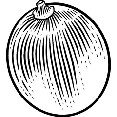 Hand drawn Grape Sketch Illustration