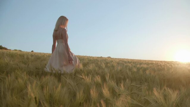 Astonishing nature with lavish harvest below sunset skyline in the background. Low-angle shot of blonde-haired, caucasian woman enjoying natural environment of countryside. High quality 4k footage