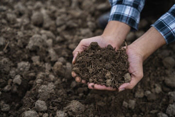 Farmers' expert hands check soil health before planting vegetable seeds or seedlings. Business idea or ecology.