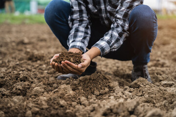 Farmers' expert hands check soil health before planting vegetable seeds or seedlings. Business idea or ecology.
