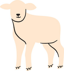 Animal for Qurban idul Adha