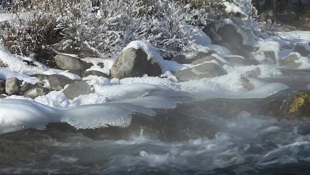 Close-up view of a stormy mountain non-freezing fast river on a frosty winter day. Snow-covered bushes and icy stones on the shore. Winter landscape. Natural background