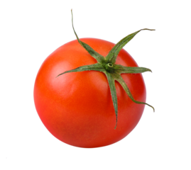 tomato isolated on transparent png