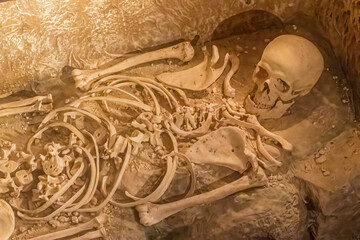 Plakat altes Skelett