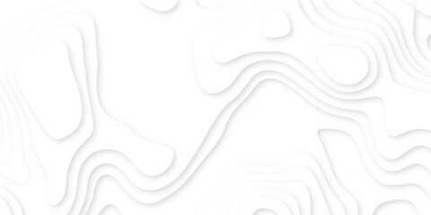 Abstract 3d wavy line paper cut white background.realistic papercut decoration textured with wavy layers.3d Topographic canyon geometric map relief texture with curved layers and shadow.