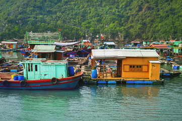 Fototapeta na wymiar floating fishing village between the rocky islands of halong bay