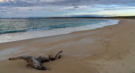 white sandy cove with turquoise water and driftwood on the west coast of Sardinia in evening light