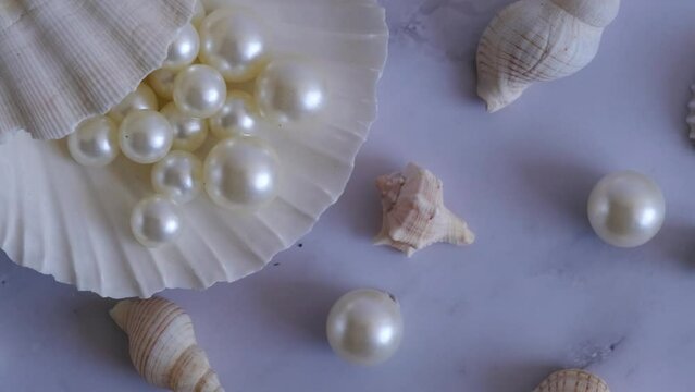 a scattering of pearls and shells