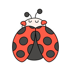 ladybug