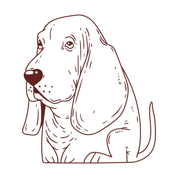 A Dog, vector logo design elements. Animal monochrome sketch. Pet shop logotype. Cartoon outline picture of a Basset Hound. A brand sign. A coloring book. Contour illustration for children's drawing.