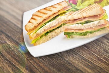 Tasty fresh toste sandwich with vegetables