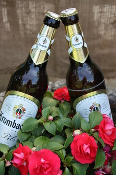 Zwei Flaschen Krombacher Pils in einem Pflanzstein mit Blumen