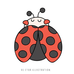 Fototapeta premium ladybug
