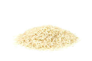 the seeds of white rice